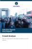 Crowd-Analyse