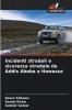Incidenti stradali e sicurezza stradale da Addis Abeba a Hawassa
