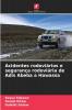 Acidentes rodoviários e segurança rodoviária de Adis Abeba a Hawassa