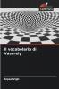 Il vocabolario di Vasarely