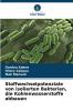 Stoffwechselpotenziale von isolierten Bakterien die Kohlenwasserstoffe abbauen