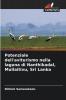 Potenziale dell'aviturismo nella laguna di Nanthikadal Mullaitivu Sri Lanka