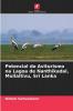 Potencial do Aviturismo na Lagoa de Nanthikadal Mullaitivu Sri Lanka