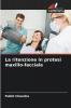 La ritenzione in protesi maxillo-facciale
