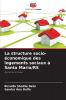 La structure socio-économique des logements sociaux à Santa Maria/RS
