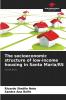 The socioeconomic structure of low-income housing in Santa Maria/RS
