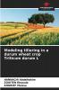 Modeling tillering in a durum wheat crop Triticum durum L
