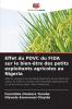 Effet du PDVC du FIDA sur le bien-être des petits exploitants agricoles au Nigeria