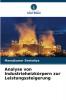 Analyse von Industrieheizkörpern zur Leistungssteigerung
