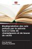 Biodégradation des sols pollués par le pétrole brut à l'aide de champignons et de bouse de vache