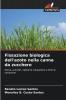 Fissazione biologica dell'azoto nella canna da zucchero