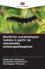 Bactéries symbiotiques isolées à partir de nématodes entomopathogènes