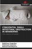 CONGENITAL SMALL INTESTINAL OBSTRUCTION IN NEWBORNS