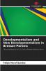 Developmentalism and New Developmentalism in Bresser-Pereira