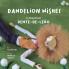 Dandelion Wishes / Os desejos do Dente-de-Leão: A bilingual book in English and Portuguese: 1 (Original Bilingual Fairy Tales)