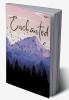 Enchanted