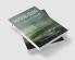 Inspiring Sound Bunches of Quotes