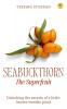 Seabuckthorn The Superfruit