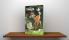 Disney Storytime Collection : Bambi