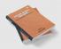 Lifelong Search for Home (Collected English Poems of Ved Prakash Vatuk)