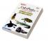 Tubbys Cut & Paste Chart Book Amphibians & Reptiles Sea Animals Insects