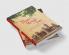 Three Rivers and a Tree: The Story of Allahabad University