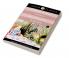Junior Classic - Book 1 (Alice Adventure in Wonderland What Katy Did Rebecca of Sunnybrook Farm The Secret Garden) - B