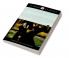 Junior Classic - Book 17 (The Adventure of the Beryl Coronet The Adventure of the Blue Carbuncle The Boscombe Valley Mystery The Adventure of the Copper Beeches)