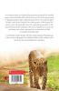 The Man-Eating Leopard Of Rudraprayag