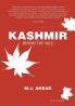 Kashmir behind the vale