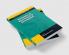 Economics of Environment and Development