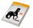 Black Beauty  Complete and Unabridged with Introduction and Notes