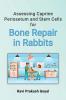 Assessing Caprine Periosetum and Stem Cells for Bone Repair in Rabbits