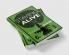 Staying Alive: Women Ecology and Survival in India