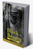 Black Beauty