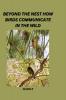 Beyond the Nest