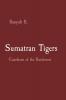 Sumatran Tigers
