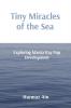 Tiny Miracles of the Sea