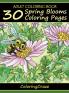 Adult Coloring Book: 30 Spring Blooms Coloring Pages: 1 (Colorful Seasons)