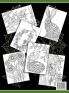 Adult Coloring Book: 30 Spring Blooms Coloring Pages: 1 (Colorful Seasons)