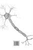 DAILY VAGUS NERVE