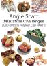 Angie Scarr Miniature Challenges