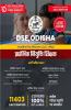 DSE Odisha Initial Appointee Teacher