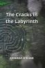 The Cracks in  the Labyrinth