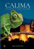 Calima