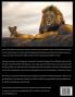 African Safari Wildlife Photography