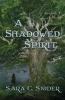 A Shadowed Spirit: 2 (Tree and Tower)