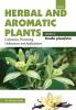 HERBAL AND AROMATIC PLANTS – Vanilla planifolia (VANILLA)