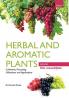 HERBAL AND AROMATIC PLANTS – Vitis rotundifolia (GRAPES)