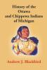 History Of The Ottawa And Chippewa Indians Of Michigan: A Grammar Of Their Language And Personal And Family History Of The Author